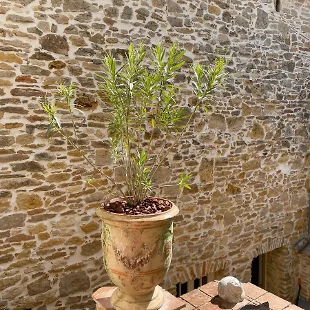 Paradis De Provence, Lejlighed Le Pin (Gard)