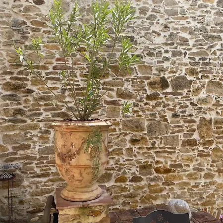 Paradis De Provence,